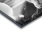 White Horse Acrylic print