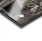 Barn Owl Colored Acrylic print