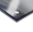 Gracefully Gliding Acrylic print