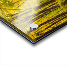 Fall Colors in Forest Impression Acrylique