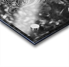 Sher Khan Acrylic print