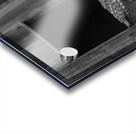 Barn Owl Acrylic print