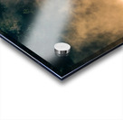 Mystical Acrylic print