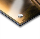 Summer morning in Algonquin Park Acrylic print