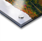 Algonquin Park in Autumn Acrylic print