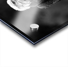 Bald Eagle Acrylic print