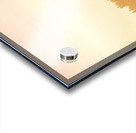 Morning Light Acrylic print