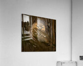 Saw Whet Owl Acrylic Print