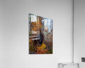 Bull Moose in Fall Colors Acrylic Print