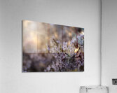 Cherry Blossom Impression acrylique