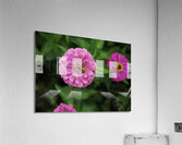 Nature’s art palette Acrylic Print