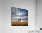 In the heart of the countryside Acrylic Print