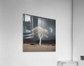 Lone Tree Acrylic Print