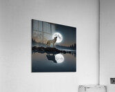 Under the moonlit sky Acrylic Print