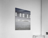 Gracefully Gliding Acrylic Print