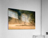 Mystical Acrylic Print