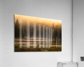 Summer morning in Algonquin Park Acrylic Print