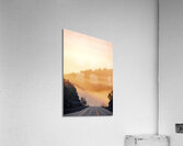 Morning Light Acrylic Print