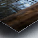 Red Tail Deer Metal print