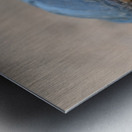 Snapping Turtle Metal print