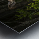 Love of a Mom Metal print