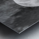 Polar Bear  Metal print