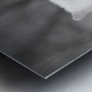 Arctic Wolf Metal print