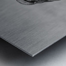 Raven Eyes Metal print