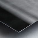 Three Eyed Raven Metal print