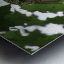 Winking Owl Metal print