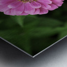 Nature’s art palette Metal print