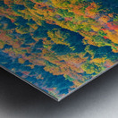 Autumns Attire Metal print