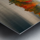 Vibrant Autumn Metal print