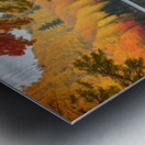 Autumns Display Metal print