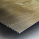 Fox portrait in morning light Metal print