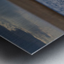 Swan on Lake Ontario Metal print