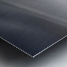 Gracefully Gliding Metal print