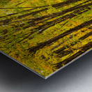 Fall Colors in Forest Impression metal