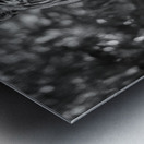 Sher Khan Metal print