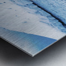 Swan in Winter Metal print