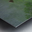 Bull Moose on a Foggy Morning Metal print