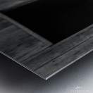 Barn Owl Metal print