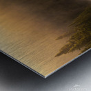 Summer morning in Algonquin Park Metal print