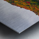 Algonquin Park in Autumn Metal print