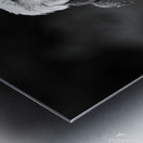 Bald Eagle Metal print