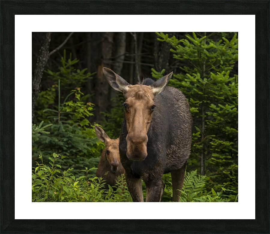 Love of a Mom Picture Frame print