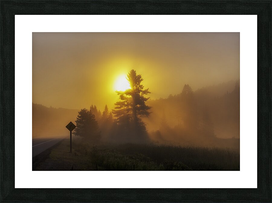 Algonquin Park Sunrise Picture Frame print