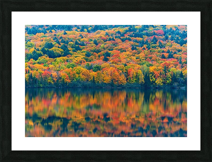 Autumns Attire Picture Frame print