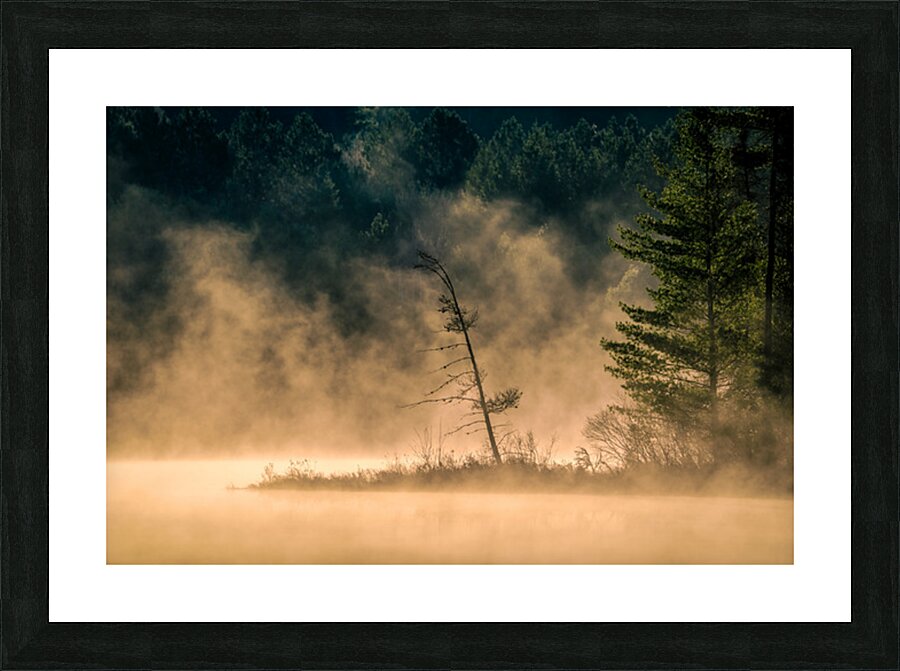 Mystical Picture Frame print