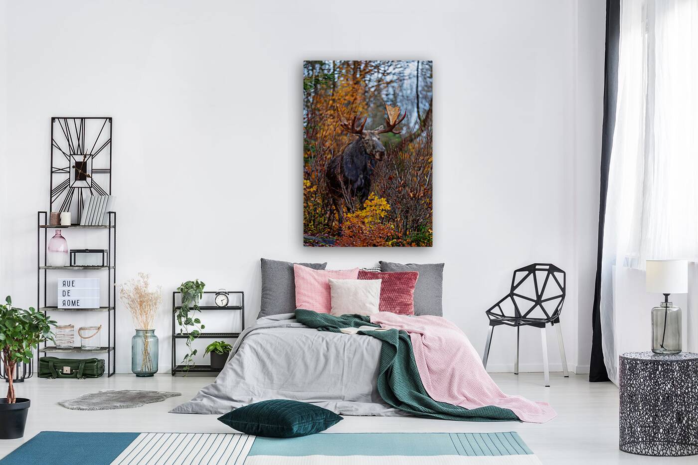 Bull Moose in Fall Colors Reproduction